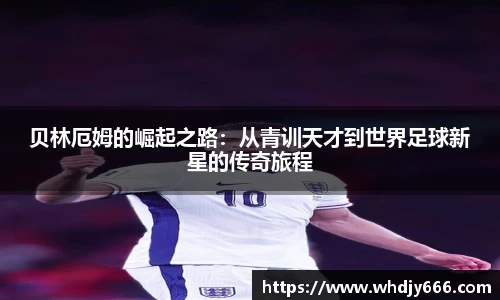 米兰体育